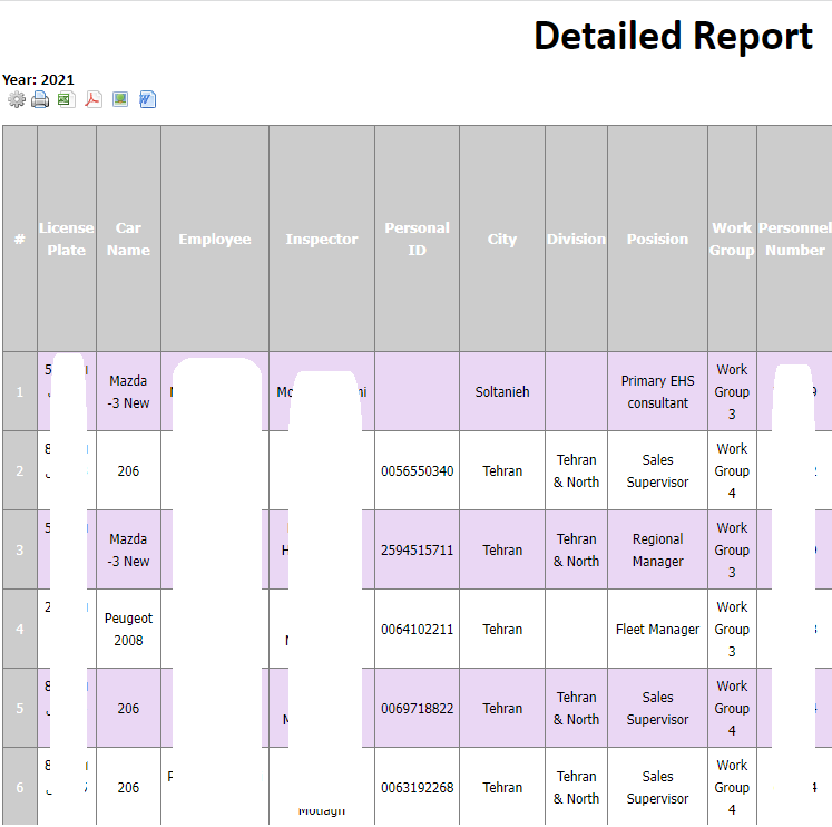 Some examples of types of graphical reports, lists, ...